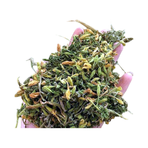 Flor de papaya masculina de granja natural en cantidad a granel disponible con precio competitivo - Product Image 5