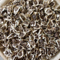Les graines de Moringa PKM1 de bonne qualité sont pures et hygiéniques, sans impuretés utilisées pour la culture et l'extraction de l'huile.