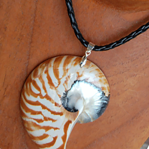 Concha corte natural JOYERÍA SEASHELL Collar de concha cuenta Motivo corte de concha - Product Image 2