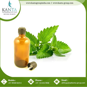 Huile de menthe poivrée pure au prix de gros - Product Image 2