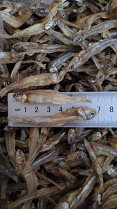 VENTA CALIENTE 2024 PESCADO ANCHOVY SECO A GRANEL/ANCHOVÍA DESDE VIET NAM PROVEEDOR CON EL MEJOR PRECIO - Product Image 3