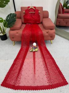 Hermoso Sari de diseñador con secuencia de trabajo - Product Image 2