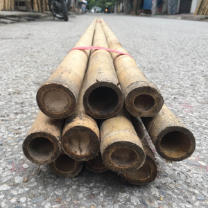 Estacas de Bambú Natural \ Versátiles, Resistentes y Fáciles de Trabajar |   Ideal para Jardín y Uso en Exteriores - Product Image 5