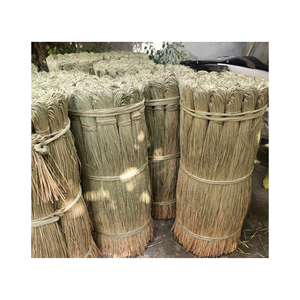 Cuerda de Pasto Marino Ecológica para Jardinería y Atado de Plantas - Product Image 1