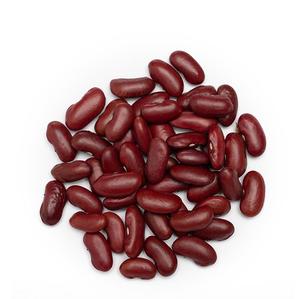 Haricot rouge à bas prix disponible en grande quantité Haricots naturels idéaux pour la consommation humaine et la transformation des aliments - Product Image 3