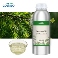 Supplier Pabrik 100% Minyak Pohon Teh Australia Murni Alami Segar Premium (Melaleuca Alternifolia) untuk Pembersihan Kulit & Perawatan Rambut