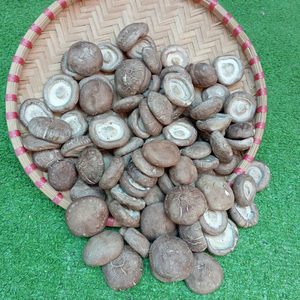 CHAMPIGNONS SHIITAKE SÉCHÉS DE QUALITÉ SUPÉRIEURE/ENTIERS OU TRANCHÉS/PRÊT À CUIRE/EMBALLAGE EN VRAC D'EXPORTATION - Product Image 3