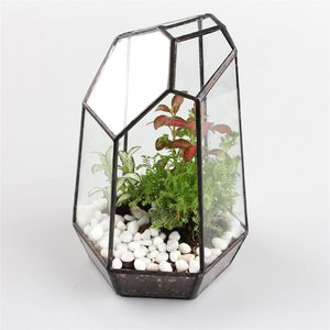 Exquisite Modern Black <b>Glass</b> Metal Terrarium for Indoor Plants Eco-Friendly Handmade Wedding Home Office Decor Attractive - Product Image 4