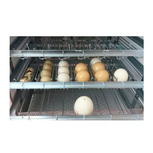 Made in Italy High Quality Materials Fully Automatic Incubator 450 chicken eggs PRO 450 DU Poultry Equipment