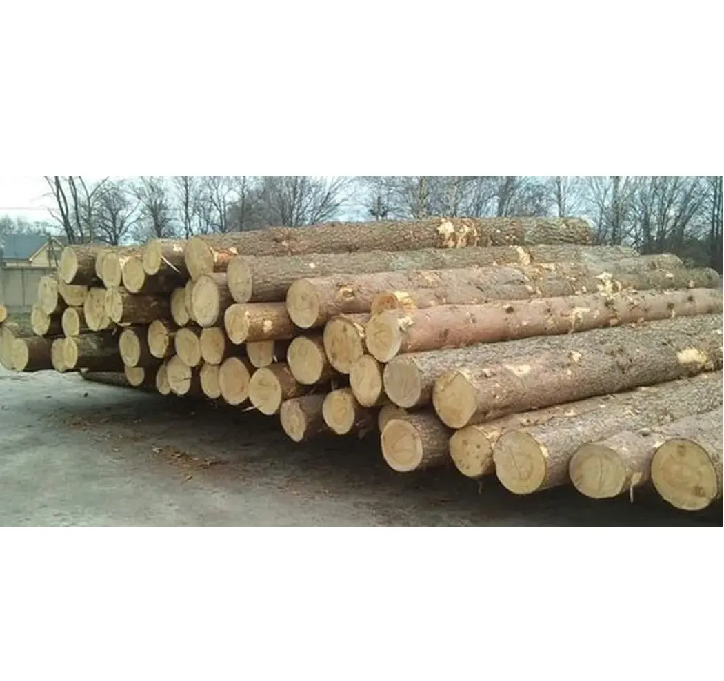 Cheap Original Oak Hard Wood Round Logs / Timber At Low Price