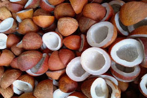 Copra de noix de coco séchée de la meilleure qualité, 100% naturelle, haute qualité, bon prix, en provenance d'Indonésie - Product Image 2