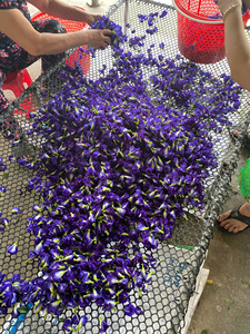 ดอกอัญชันผีเสื้อแห้งสำหรับชงชาสีฟ้าเครื่องดื่มค็อกเทลสีอบอาหารใช้ทำอาหารเวียดนาม - Product Image 4