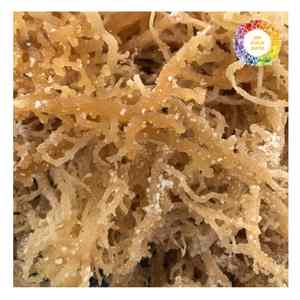 Algues Eucheuma Cottonii de haute qualité origine du Vietnam algues propres et séchées pour l'exportation en vrac et l'utilisation de produits de santé - Product Image 1