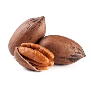 Meilleure qualité Offre Spéciale prix noix de pécan/noix de pécan crues biologiques séchées de fournisseur de gros