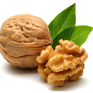 Best Price Sale on Premium Natural Organic <b>Walnut</b> Kernels High Grade Healthy Dried <b>Walnuts</b> Bulk Bag Packaging Buy <b>Shell</b> <b>Walnuts</b> - Product Image 4