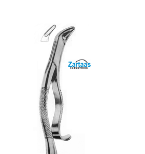 Pince d'extraction en acier inoxydable de haute qualité balançoire molaires inférieures fig 286 Fabricant et exportateur - Product Image 1