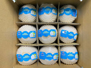 Noix de coco pelée de qualité supérieure prête à boire et parfaite pour l'exportation vers les États-Unis - Product Image 6