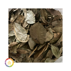 Meilleur prix pour des feuilles de corossol séchées de qualité supérieure, emballées en vrac et séchées avec soin - Product Image 3