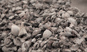 Meilleur prix et livraison rapide des déchets agricoles-Palm Kernel Shell disponible au prix de gros - Product Image 4