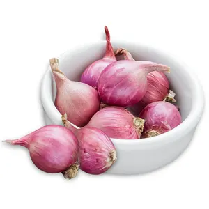 Fresh <strong>Onions</strong> Size 5cm 7cm 8cm 9cm Low Price Wholesale Germany Fresh Yellow Red <strong>Onion</strong> 20KG Mesh Bag - Product Image 1