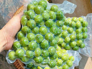 FRUITS DRACONTOMELON CONGELÉS DE QUALITÉ SUPÉRIEURE/GOÛT AIGRE NATUREL/QUALITÉ DE QUALITÉ D'EXPORTATION/PRÊT À L'EMPLOI - Product Image 4