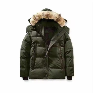 Veste d'hiver matelassée épaisse pour homme, style streetwear, en toile, col montant, respirante, avec capuche et rembourrage en duvet - Product Image 1