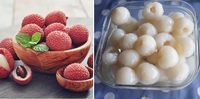 Ingeblikte lychees uit Vietnam - Beste prijs, hoogwaardige voeding, lichte siroop, 100% lychee, ISO-gecertificeerd, mevrouw Lucinda