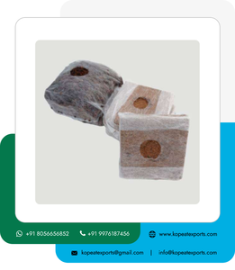 Cubos de propagación de fibra de coco de 10X10X10 CM, cubos de cultivo de fibra de coco Premium para horticultura comercial - Product Image 4