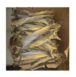 Günstige Großhandel Top Qualität Trocken Stock Fisch Kabeljau In loser Schüttung/Trocken Stock Fisch/Trocken Stock Fisch kopf/Getrocknete Gesalzene Kabeljau