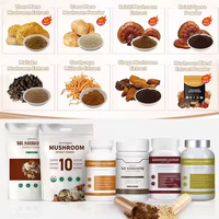 Poudre de champignon de spores de Reishi biologique à paroi cellulaire fissurée de qualité alimentaire 98% issue de Ganoderma Lucidum