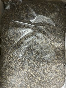 Extracto de semillas de papaya secas Tratamiento de Vietnam Semilla negra Vietnam para importación Exportación Calidad Productos de Loto Azul - Product Image 4