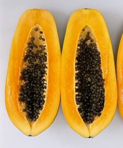 Semillas Híbridas de Papaya T2 F1, 99% de Pureza, 80% de Germinación - Product Image 1