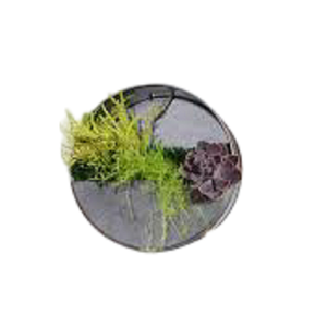 Maceta colgante de forma redonda galvanizada para interiores moderna, maceta redonda de Metal para pared de plantas para decoración del hogar con acabado oxidado - Product Image 1