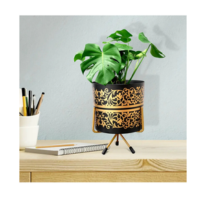 Elegante maceta de metal con soporte Elegante exhibición de plantas de interior para decoración del hogar Uso en interiores y jardines Acabado con recubrimiento en polvo - Product Image 6