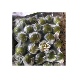 FRUTA CONGELADA Dracontomelón congelado Pelado Técnica IQF a granel - Product Image 1