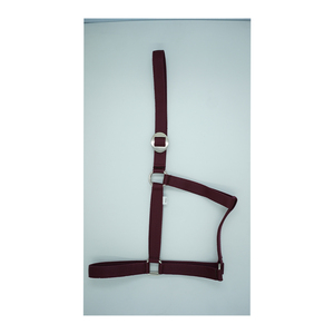 Super Soft Horse Halter Combo Personnalisé Violet Nylon PVC Cuir Dernier Style Occidental Indien Fabricant - Product Image 3