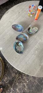 Natural Vietnam Abalone Shell Wholesale Polished Abalone Shell For <b>Jewelry</b> Ocean <b>Inspired</b> Decoration And Craft Supplies - Product Image 3