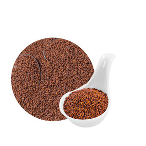 Cress | Saveur forte et lisse | Utilisé dans les sandwichs sains - Product Image 3