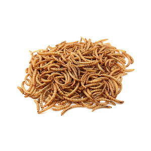 Gusanos de harina secos ecológicos naturales de primera calidad para alimentos de animales alimentos para mascotas - Product Image 5