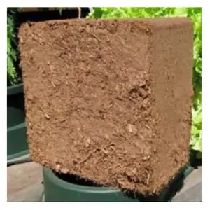 Wholesale Pure Coconut Coco Peat for Nurseries and Gardens Cheap Price