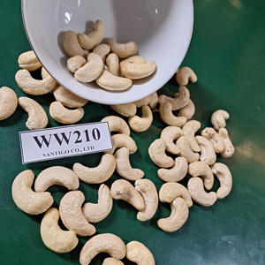 Noix de cajou Kaju WW210 Noix sèches SANTIGO Noix et amandes Emballage OEM, ODM Prêt à expédier - Product Image 1