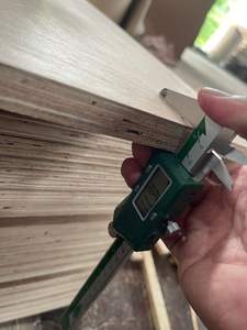 Contrachapado Bintangor de Primera Clase Comercial FOMEX GREENWOOD, Espesor de 12-18 mm, Emisión E2 para Uso en Interiores, Muebles de Diseño Moderno - Product Image 2