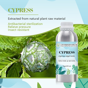 Olio di Cipresso Premium Italiano - 100% Puro e Naturale, Distillato a Vapore dalle Foglie di <span class=keywords><strong>Cupressus</strong></span> Sempervirens |   Prezzo all'ingrosso, Confezione da 1kg - Product Image 3