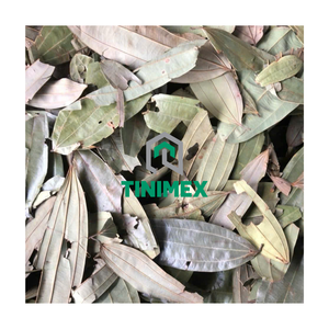 Canela/Cannelle/Darichini de hojas de Vietnam de gran calidad de proveedor confiable - Product Image 1