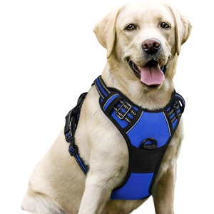 Harnais pour chien en néoprène de luxe personnalisé avec logo personnalisé réglable ensemble de laisse et harnais pour chien - Product Image 1