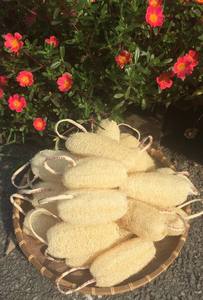 Loofah naturel, Loofah à laver la vaisselle, Loofah de bain exfoliant du Vietnam - Product Image 3