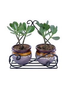 Maceta colgante de pared hecha a mano de Metal de estilo moderno a bajo precio para decoración de restaurante de boda en casa - Product Image 6