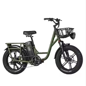 Vélo électrique cargo FIIDO T1 Pro authentique et neuf avec pneus larges de 20 pouces et moteur de 750 W - Product Image 2