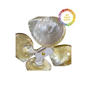 Vietnam Mother of Pearl Shells Whole Pieces and Crushed Materials for Furniture Inlay Jewelry Button Production and Craft <b>Supply</b> - Product Image 2
