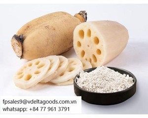Poudre d'amidon de racine de lotus de qualité supérieure, issue de racines de lotus fraîches, pour desserts et boissons aux herbes - Product Image 2